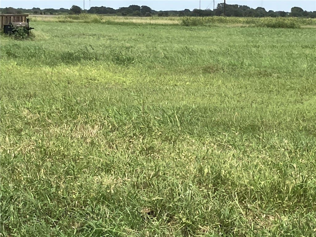 6 acres in San Patricio County featured view