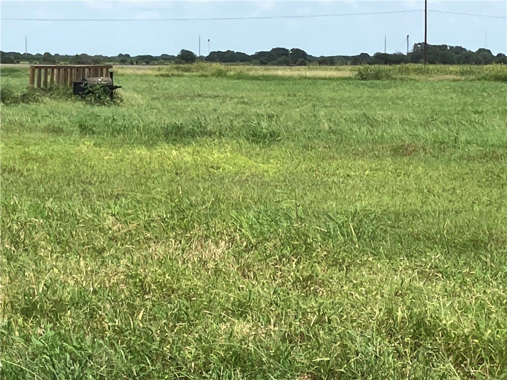 6 acres in San Patricio County - photo 7