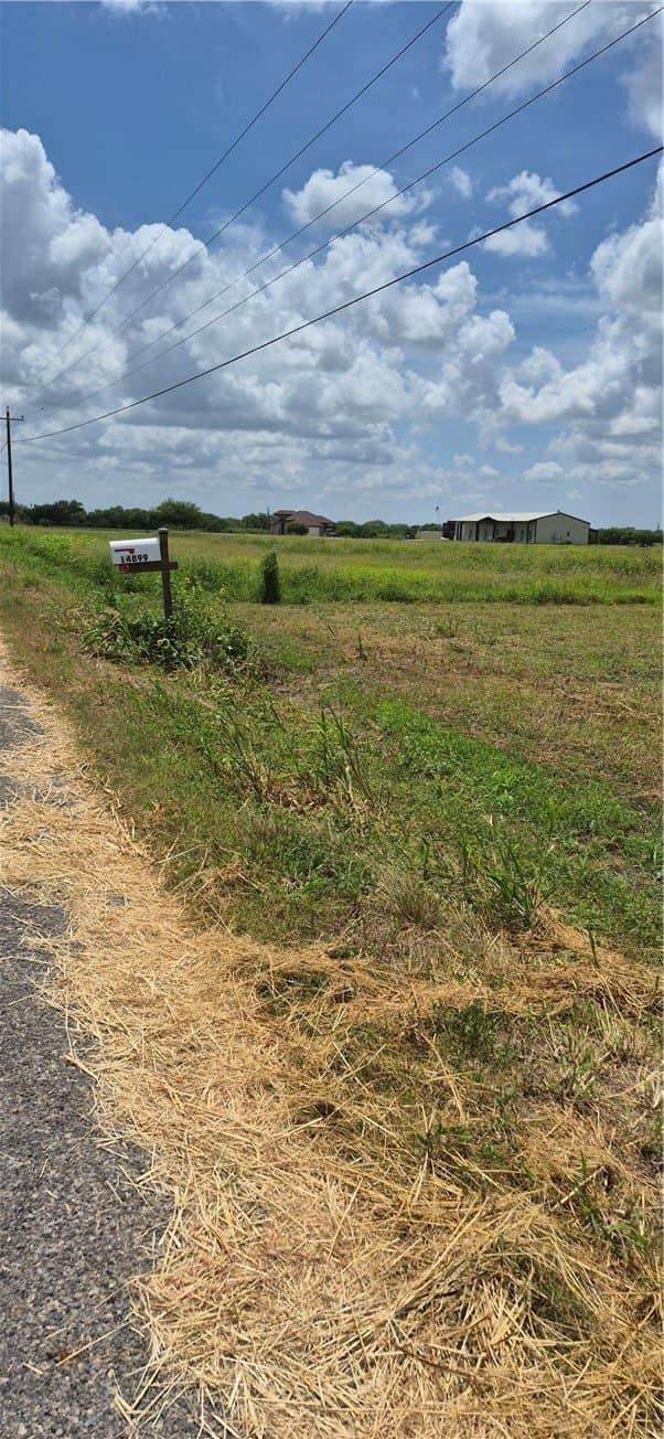 6 acres in San Patricio County gallery image 2