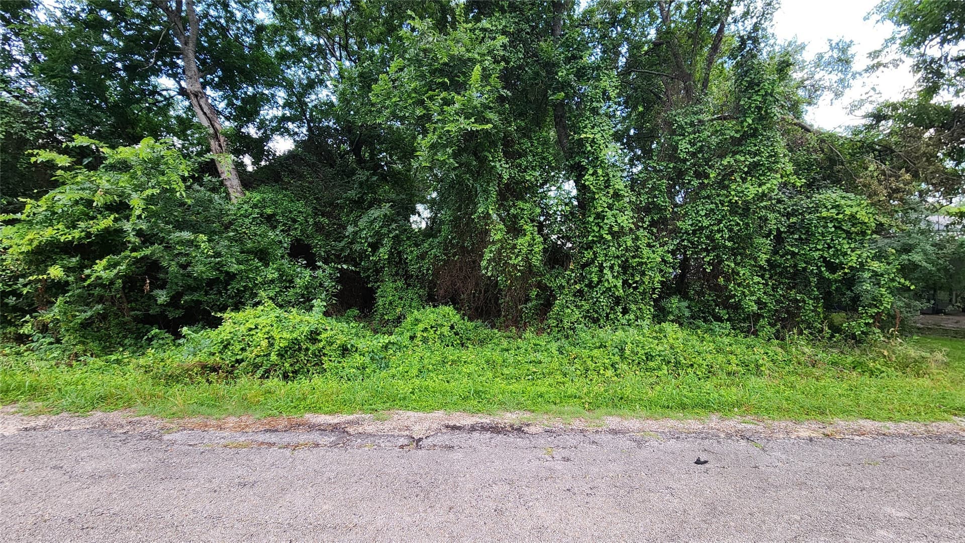 0.17 acres in Hood County - photo 2