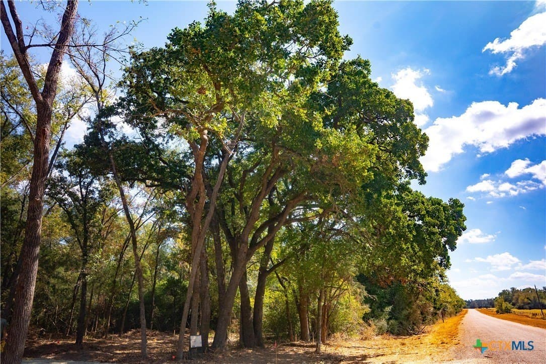 1.09 acres in Robertson County gallery image 2