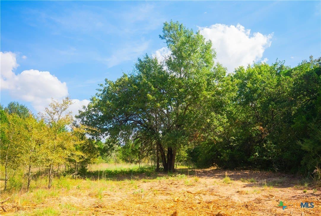 1.09 acres in Robertson County gallery image 3