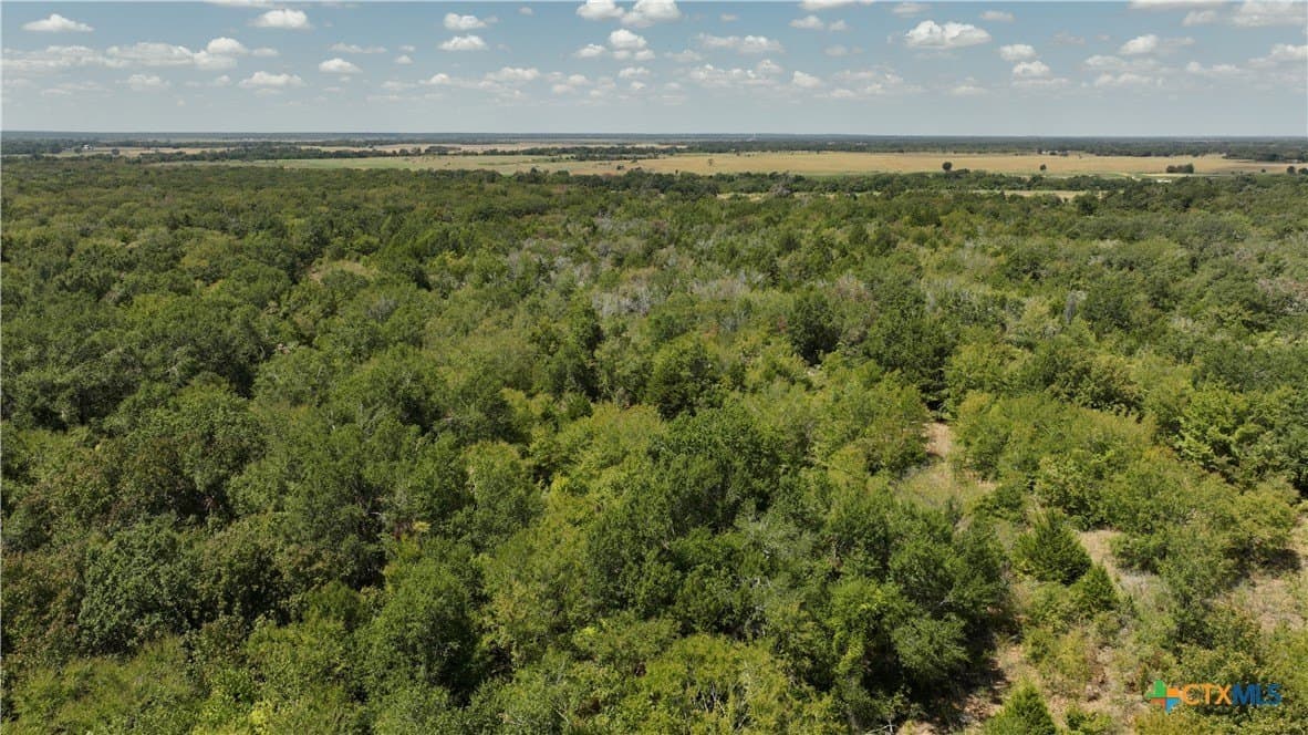 1.09 acres in Robertson County - photo 6