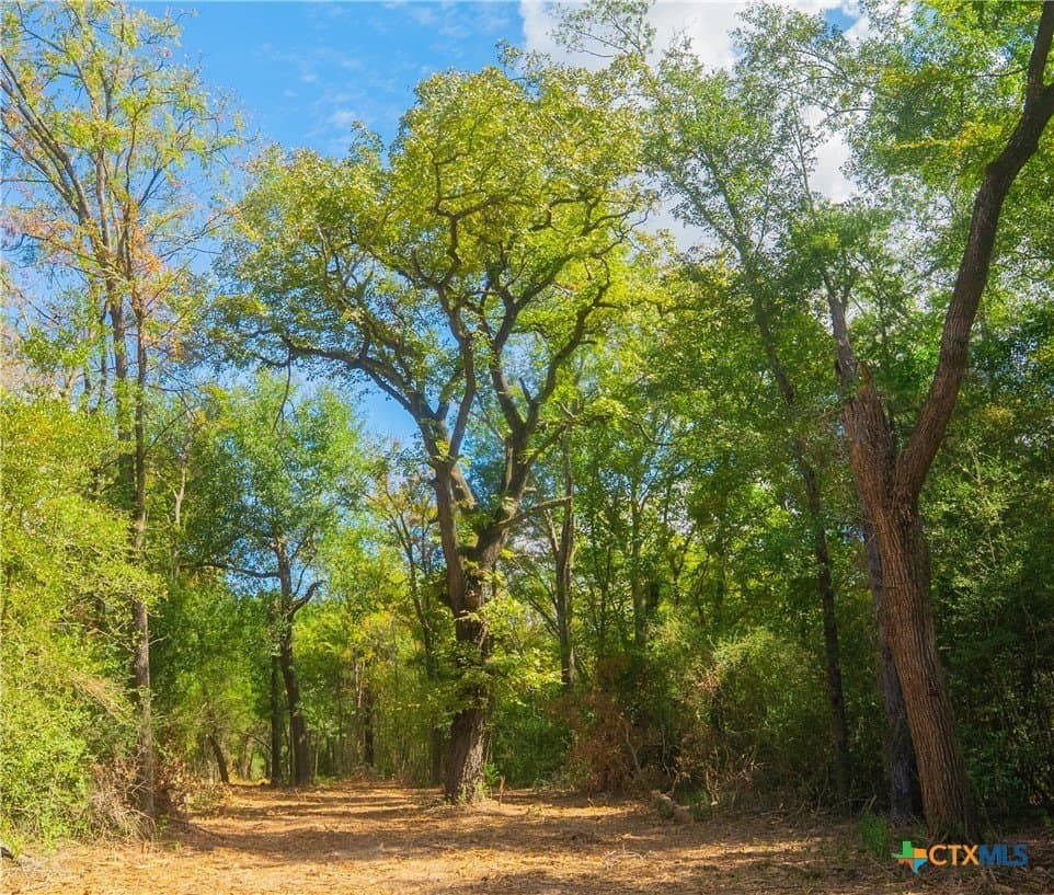 1.09 acres in Robertson County gallery image 4