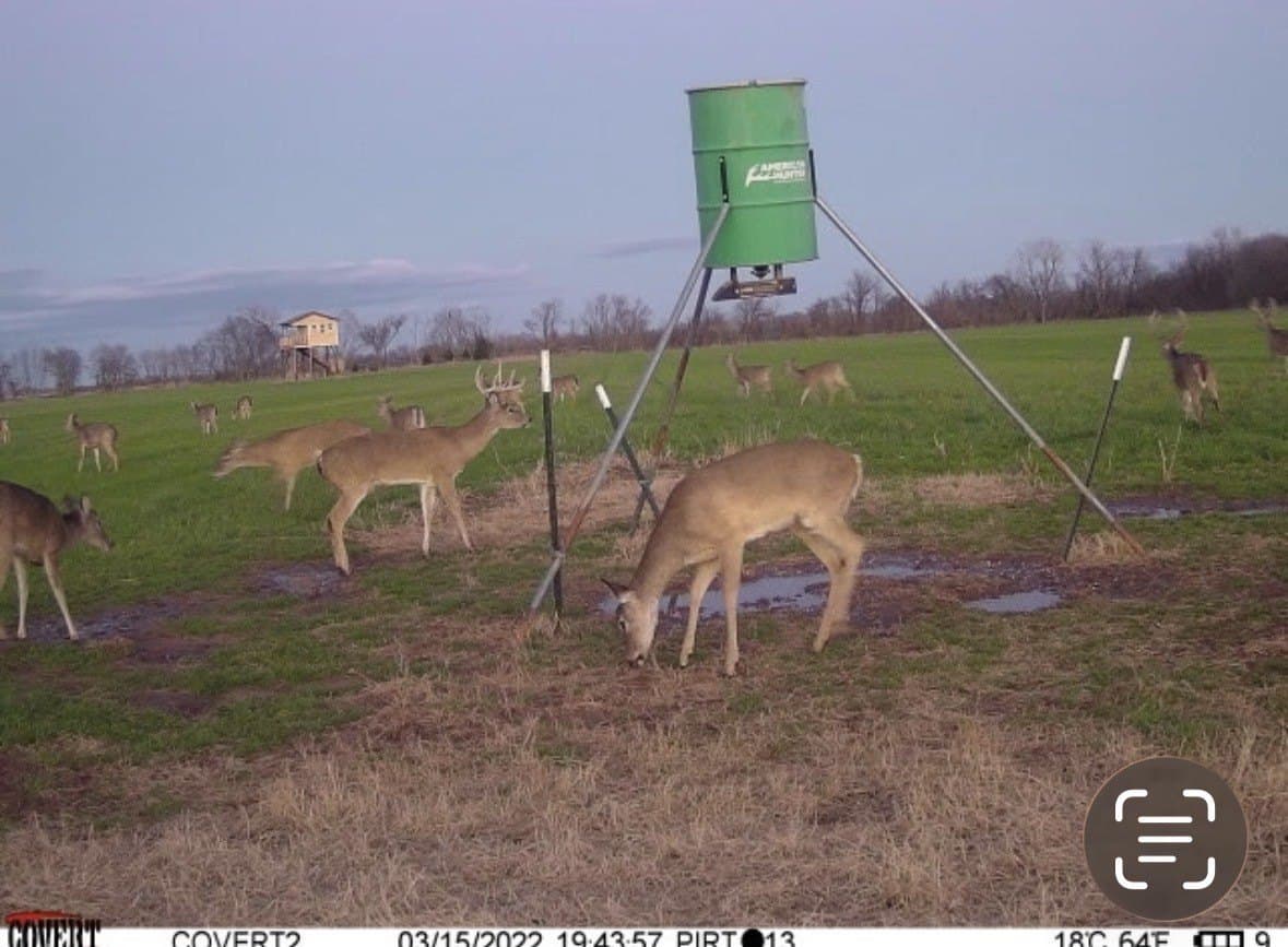 464.48 acres in Lamar County - photo 38