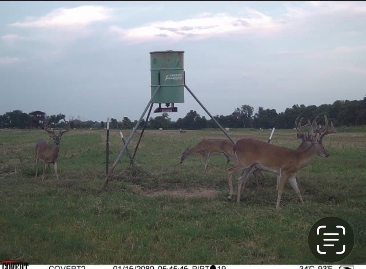 464.48 acres in Lamar County - photo 37