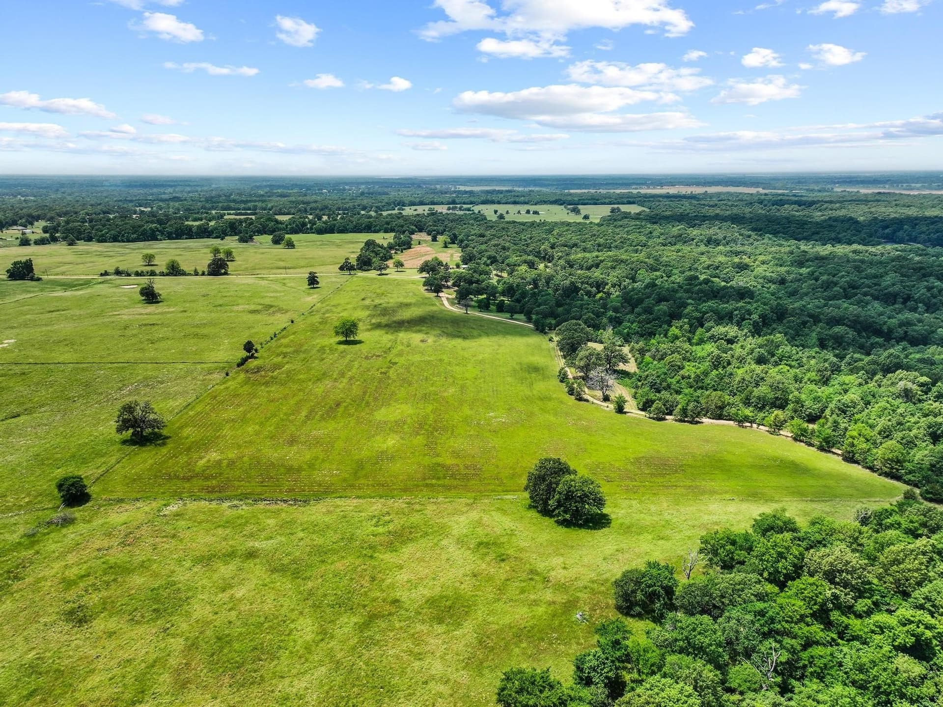 464.48 acres in Lamar County - photo 11