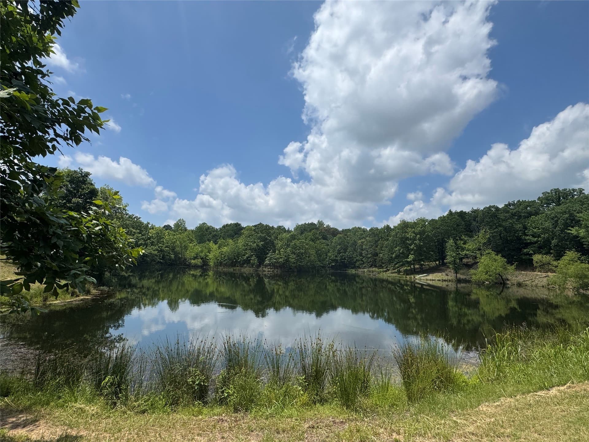 464.48 acres in Lamar County - photo 28