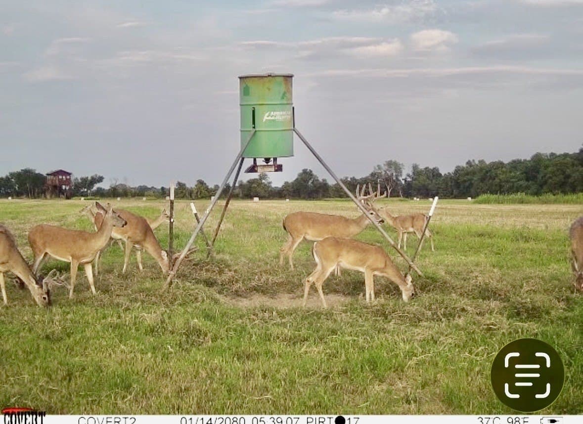 464.48 acres in Lamar County - photo 35
