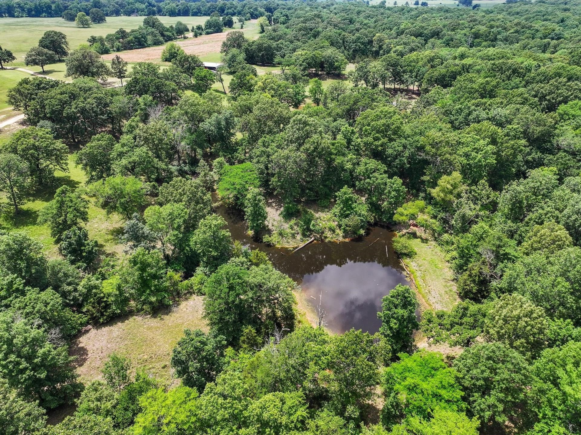 464.48 acres in Lamar County featured view