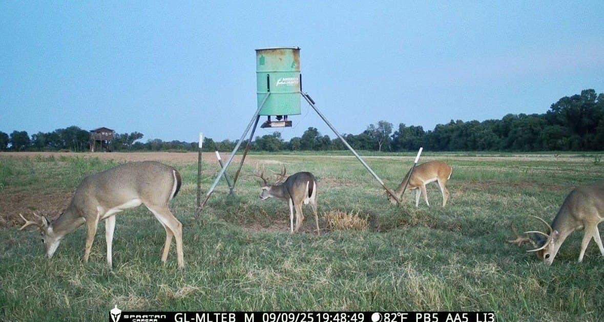 464.48 acres in Lamar County - photo 34