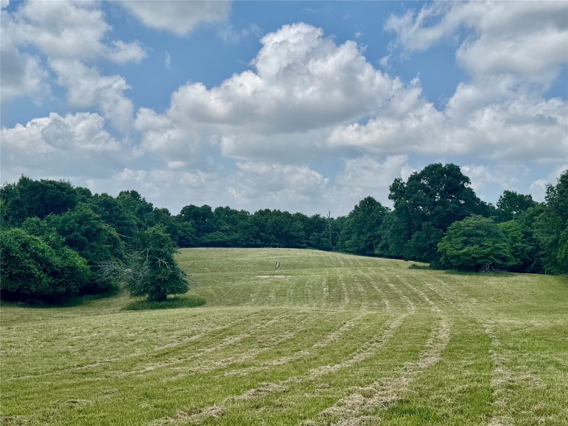 464.48 acres in Lamar County - photo 26