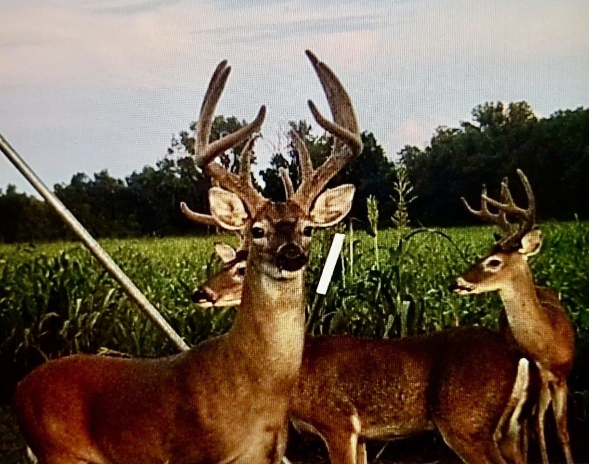 464.48 acres in Lamar County - photo 39