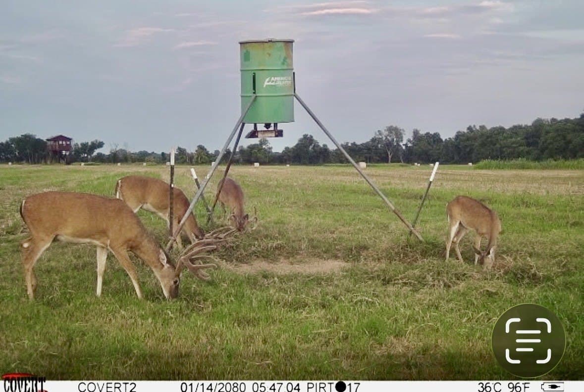 464.48 acres in Lamar County - photo 36