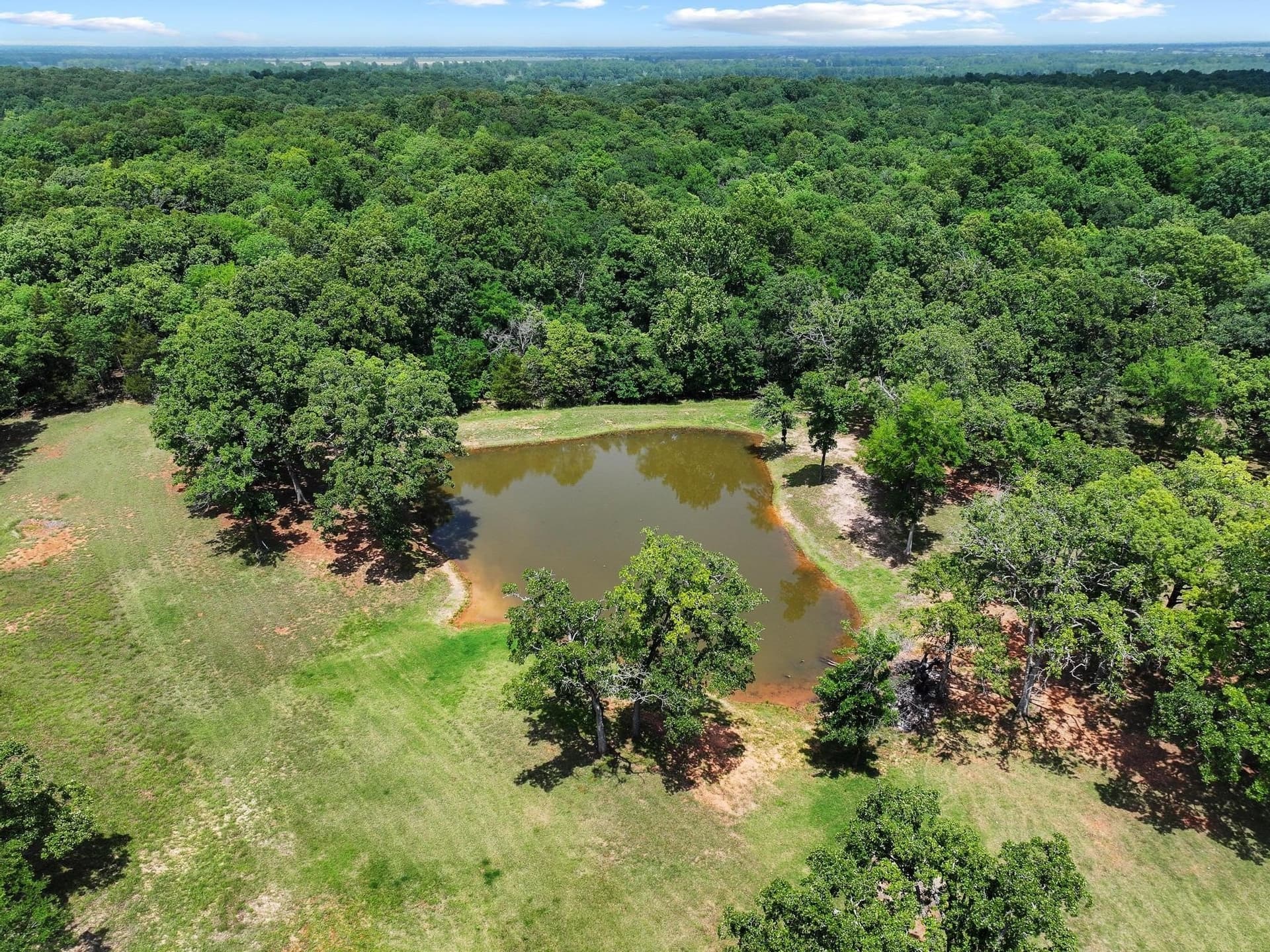 464.48 acres in Lamar County - photo 6