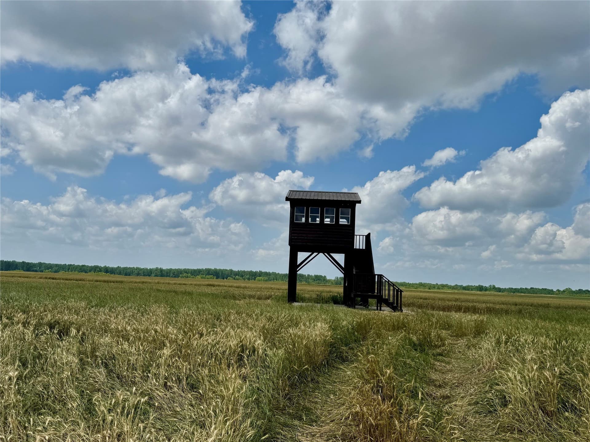 464.48 acres in Lamar County - photo 30