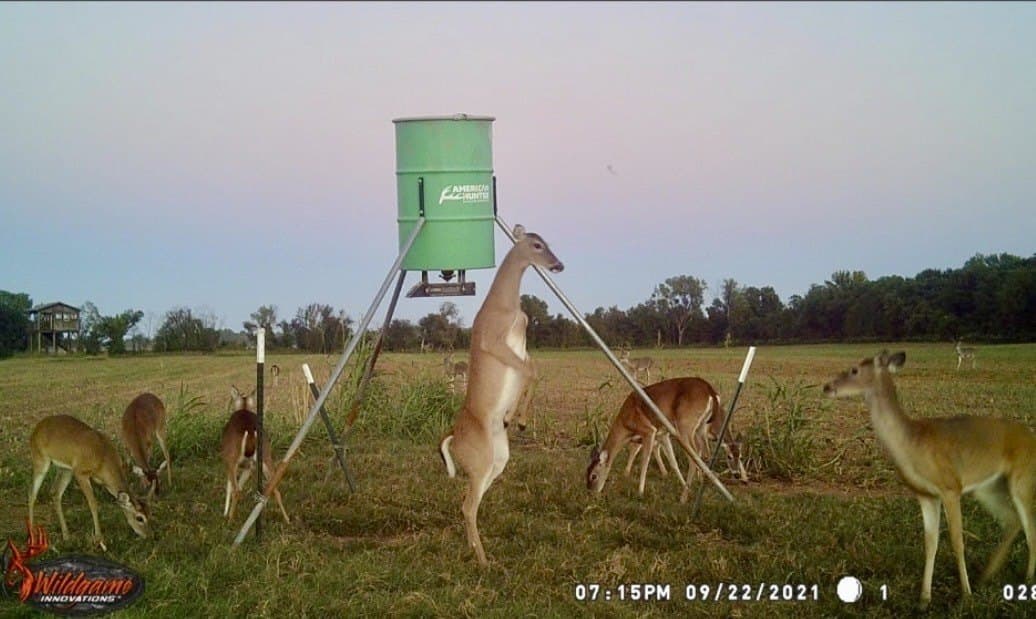 464.48 acres in Lamar County - photo 40
