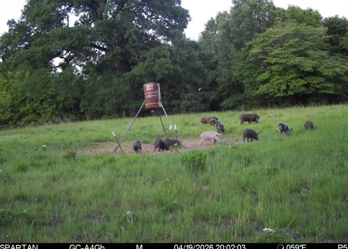 464.48 acres in Lamar County - photo 31