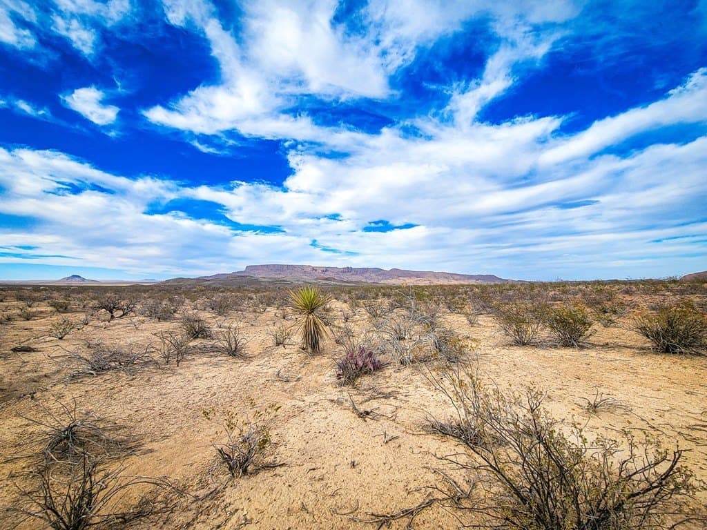 5 acres in Brewster County - photo 5