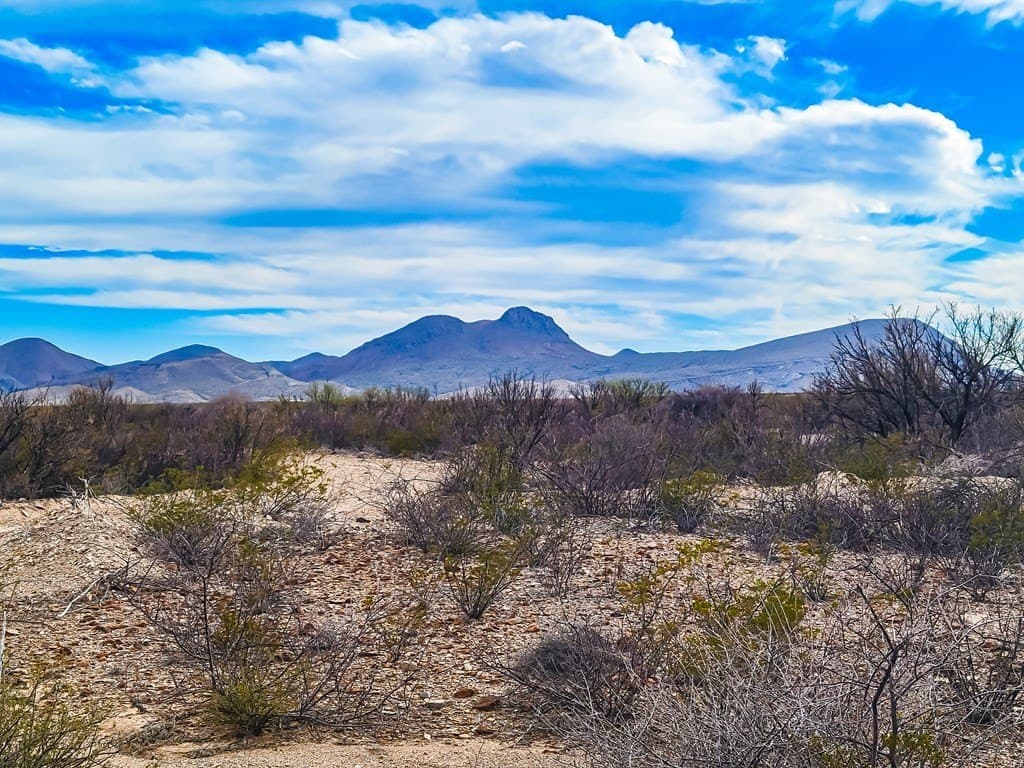 5 acres in Brewster County - photo 11