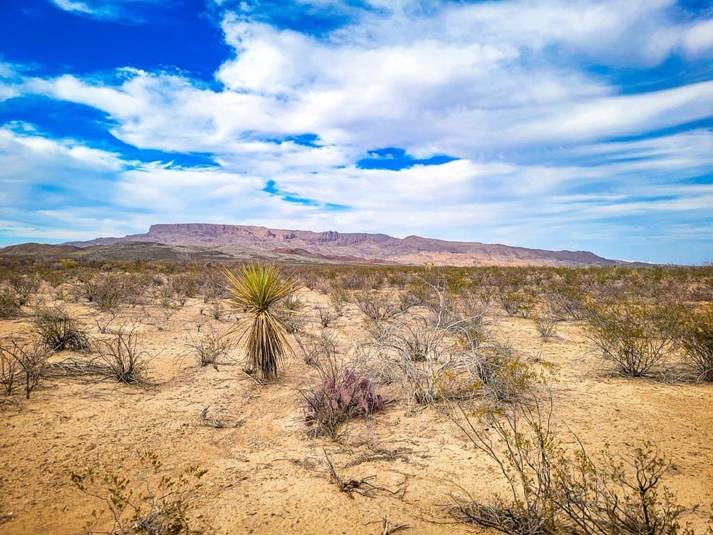 5 acres in Brewster County - photo 2