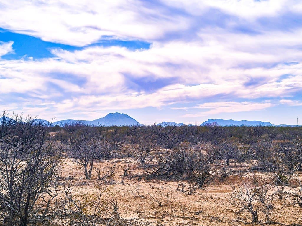 5 acres in Brewster County - photo 9