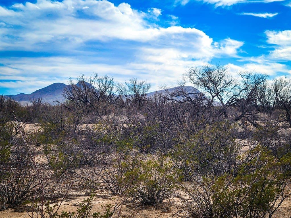 5 acres in Brewster County - photo 10