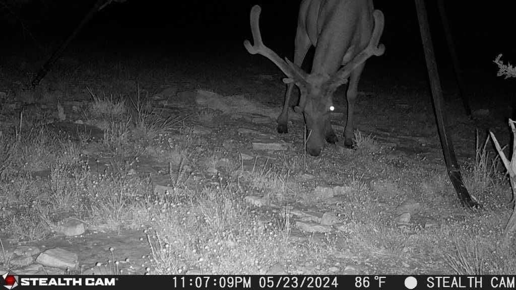 21 acres in Real County - photo 19