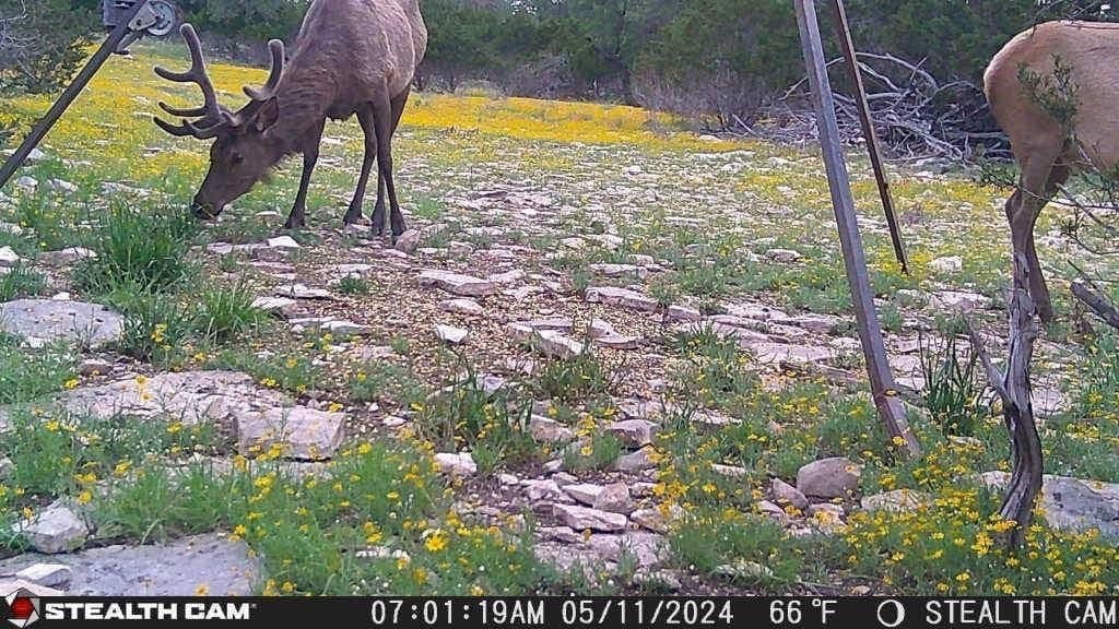 21 acres in Real County - photo 20