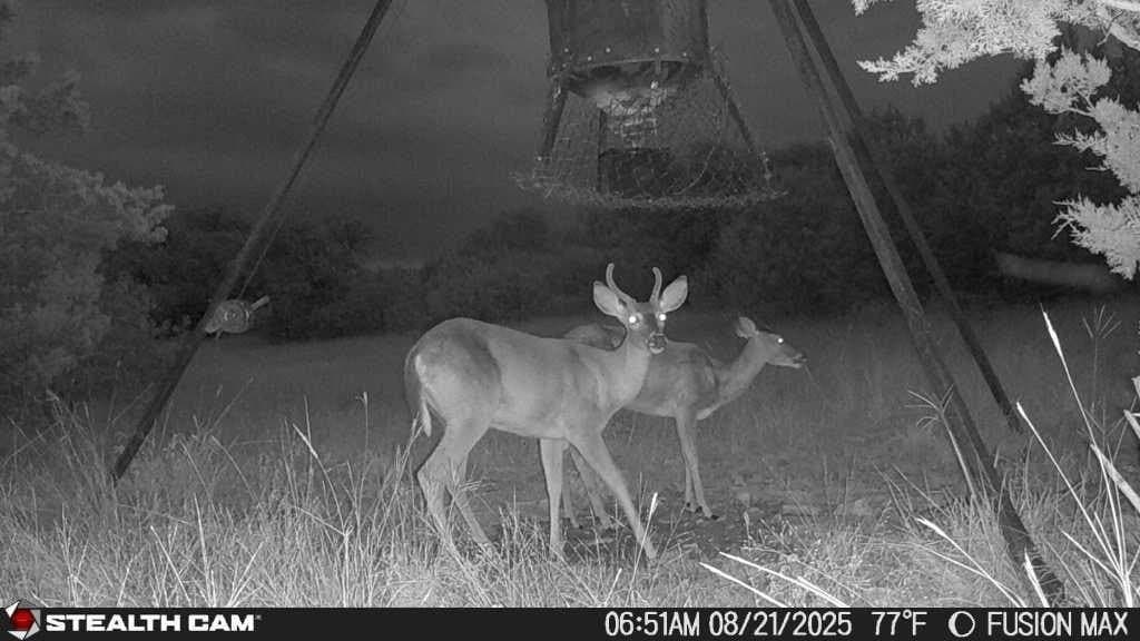 21 acres in Real County - photo 17