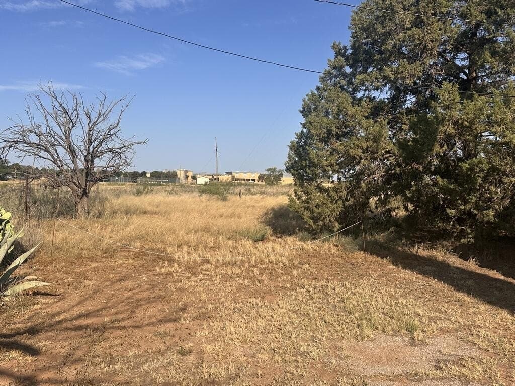 4.2 acres in Gaines County - photo 5