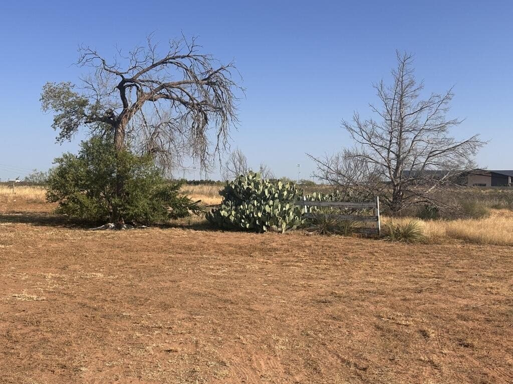 4.2 acres in Gaines County - photo 7