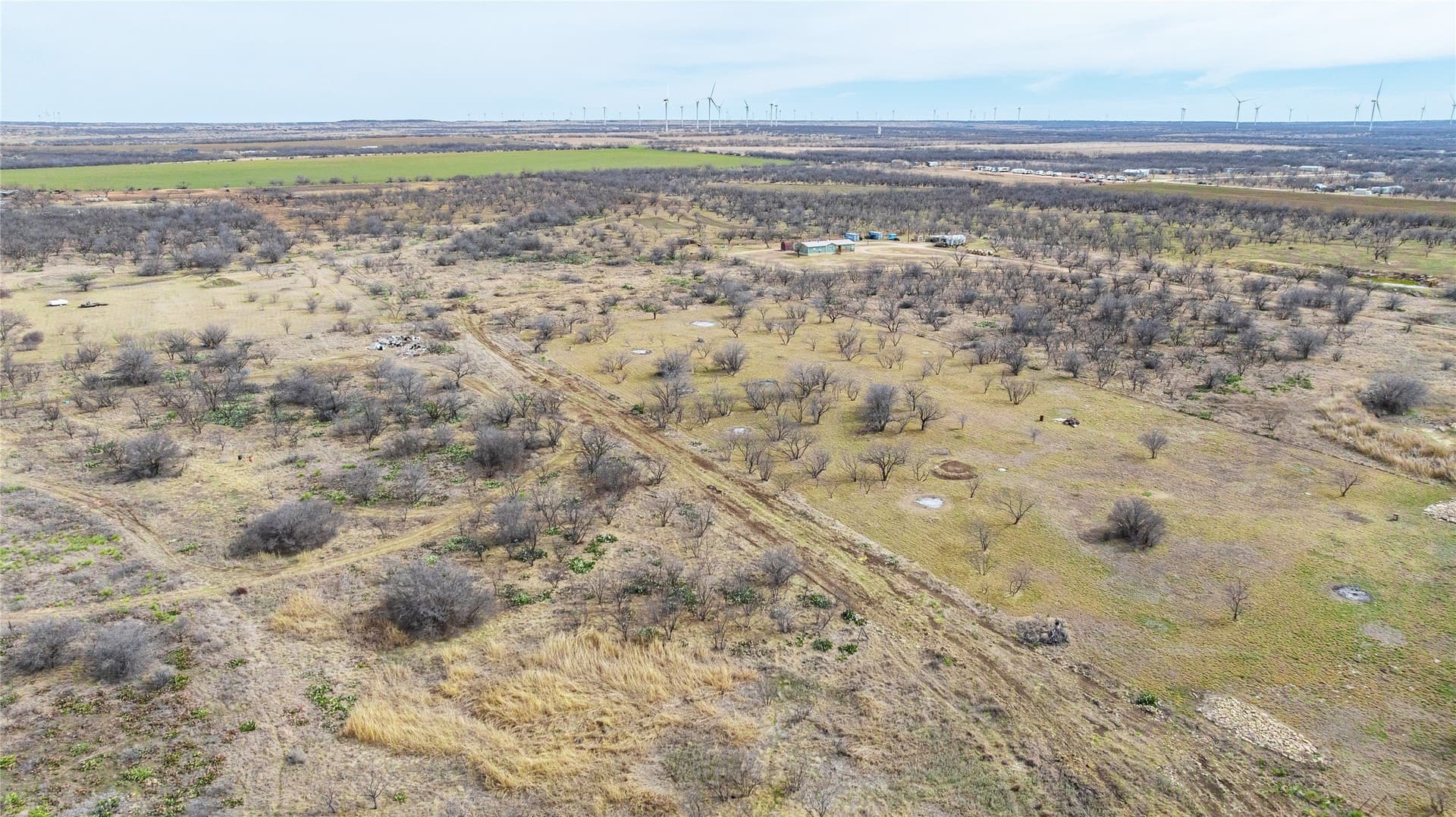 12.7 acres in Shackelford County - photo 17