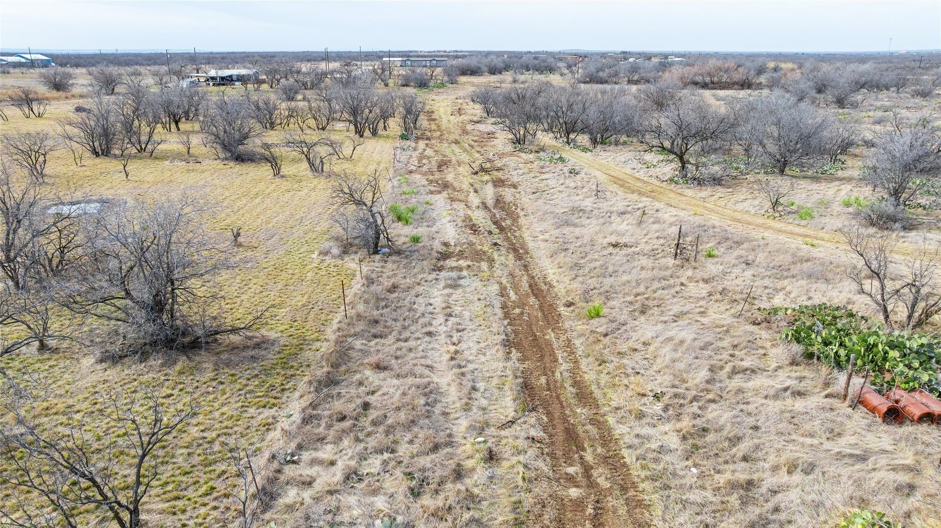 12.7 acres in Shackelford County - photo 16
