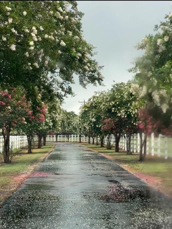 15 acres in McLennan County gallery image 2