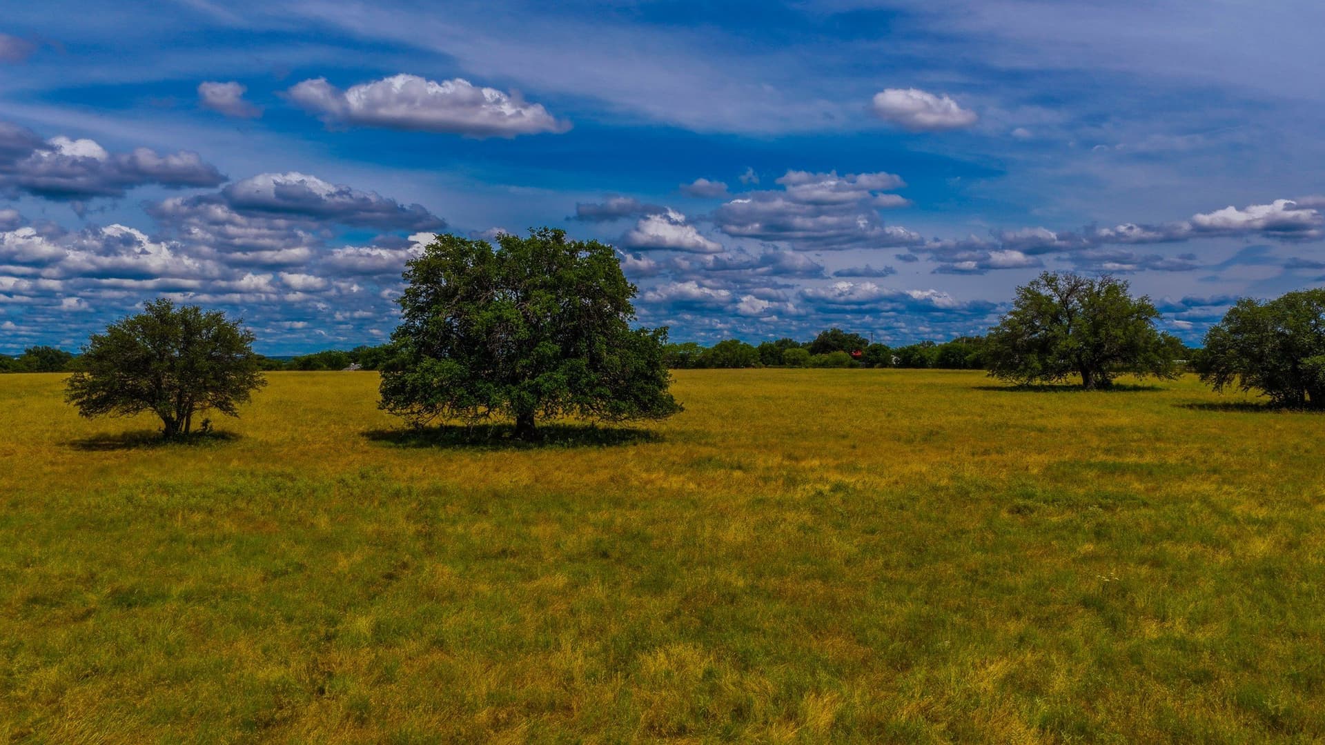 52.55 acres in Young County - photo 38