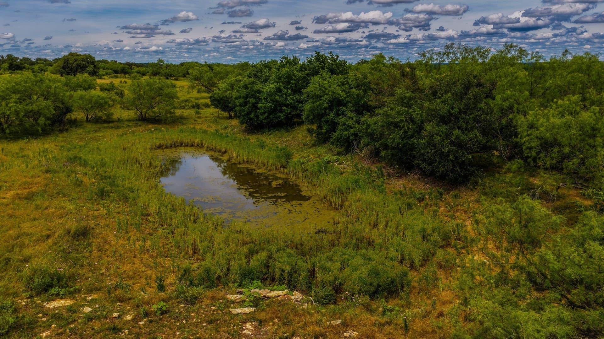 52.55 acres in Young County - photo 37