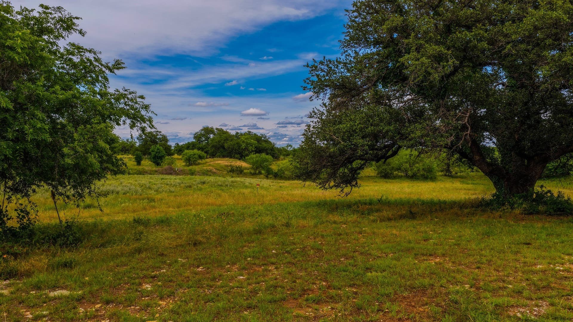 52.55 acres in Young County - photo 39
