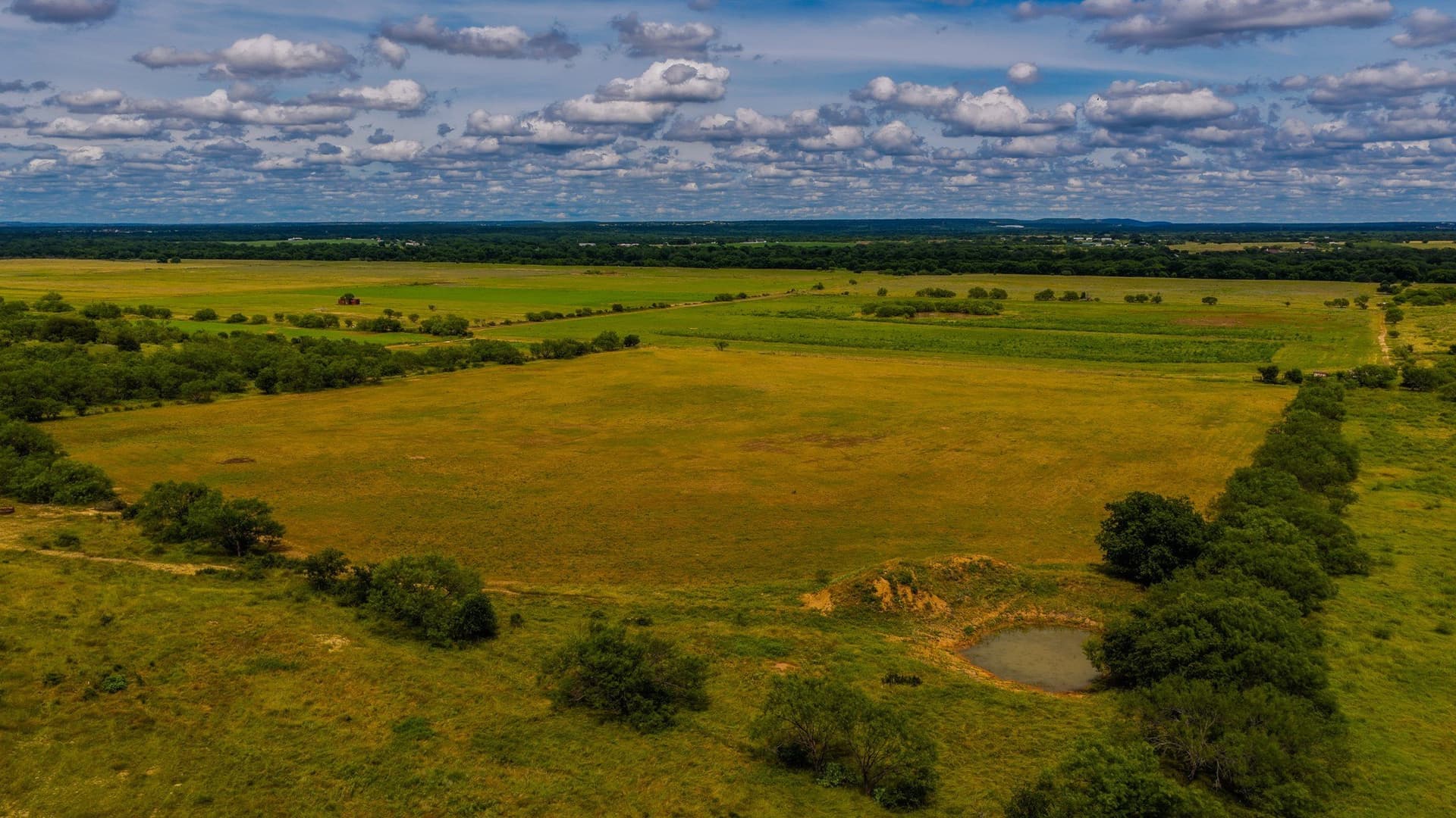 52.55 acres in Young County - photo 36