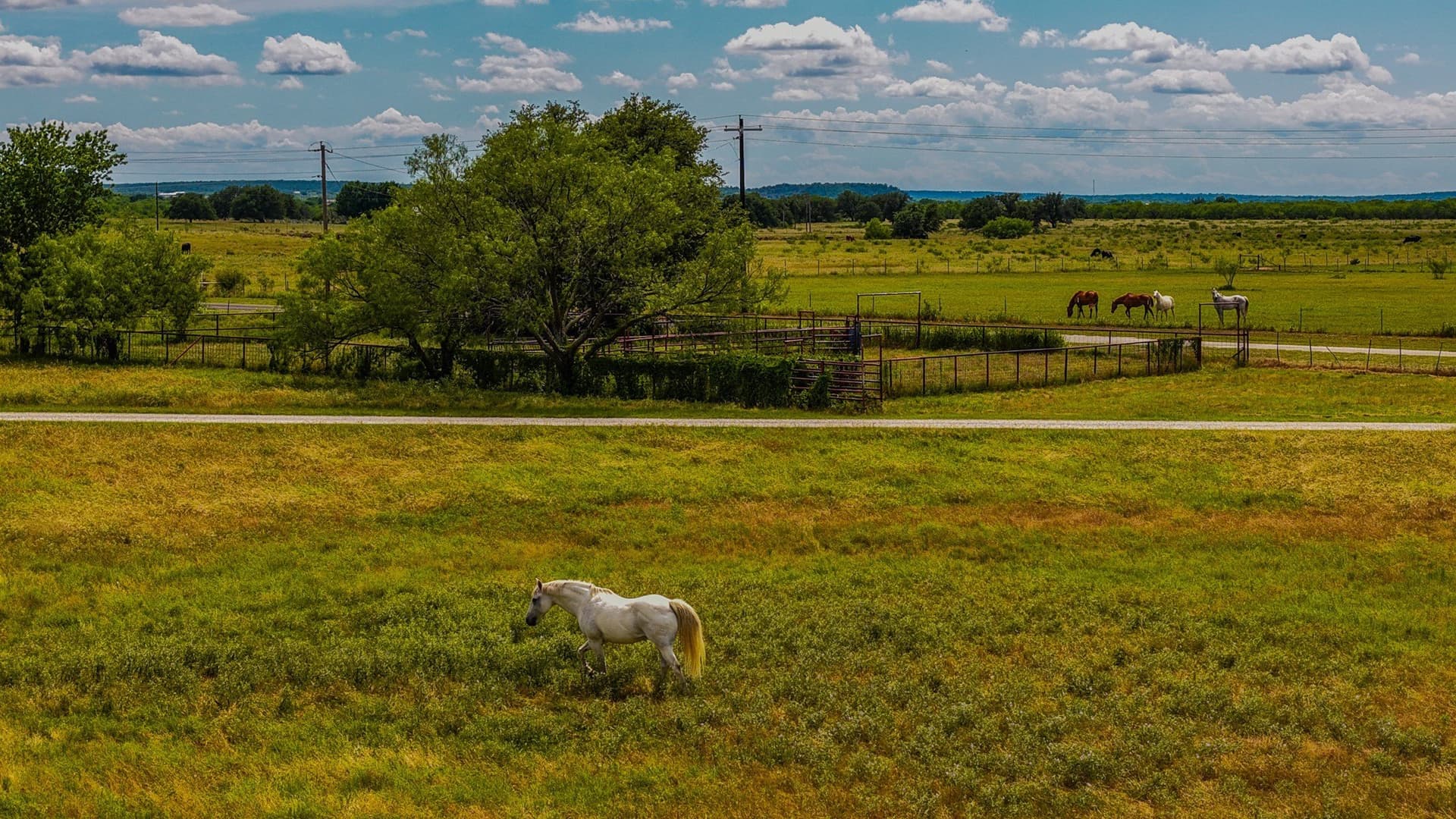 52.55 acres in Young County - photo 7