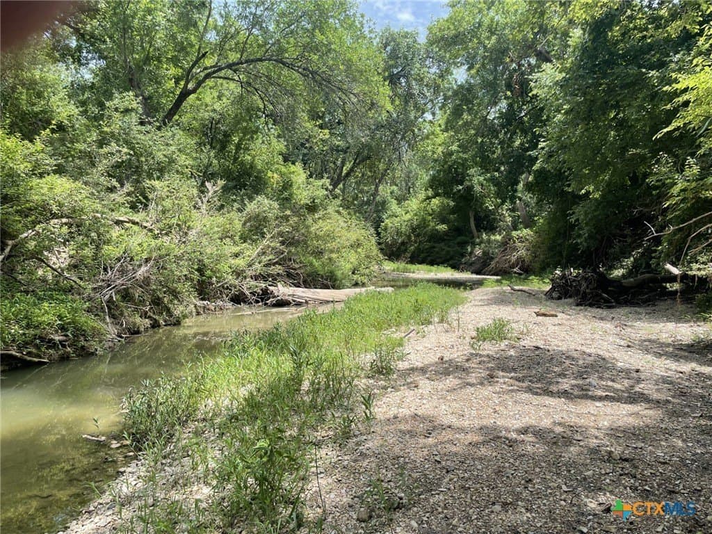 233.08 acres in Bell County - photo 8