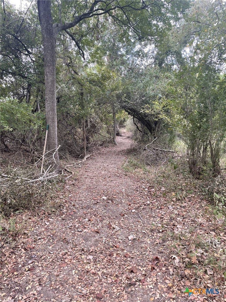 233.08 acres in Bell County - photo 19