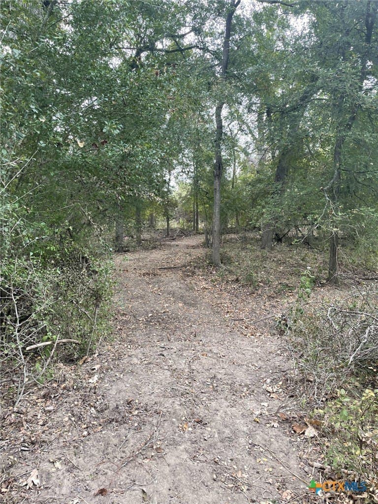233.08 acres in Bell County - photo 18