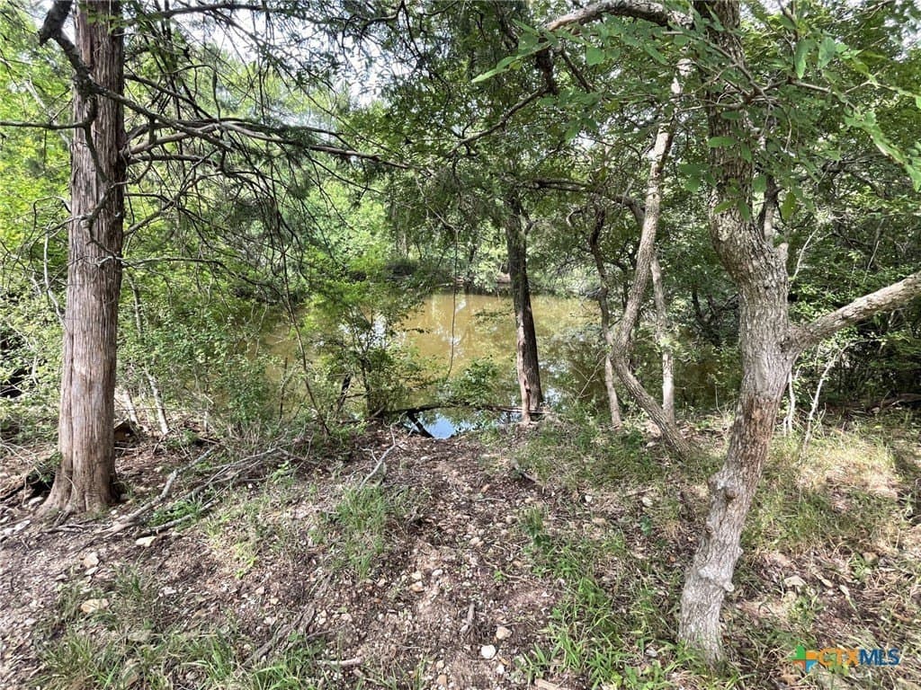 233.08 acres in Bell County - photo 15