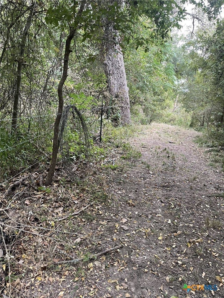 233.08 acres in Bell County - photo 24