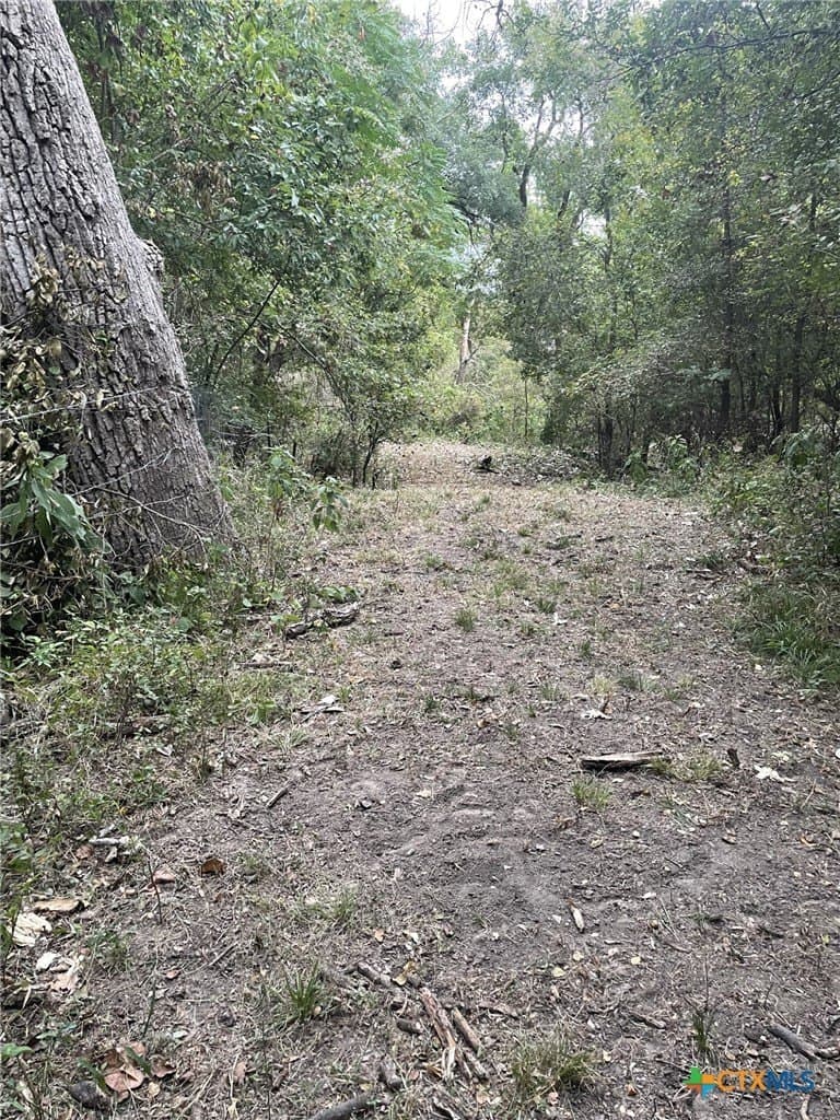 233.08 acres in Bell County - photo 23
