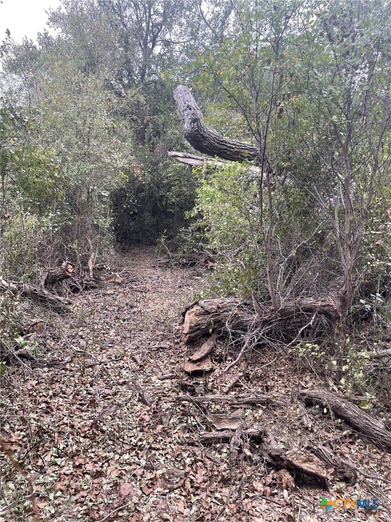 233.08 acres in Bell County - photo 20
