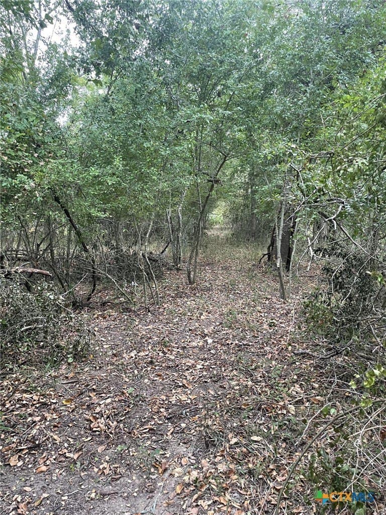 233.08 acres in Bell County - photo 22