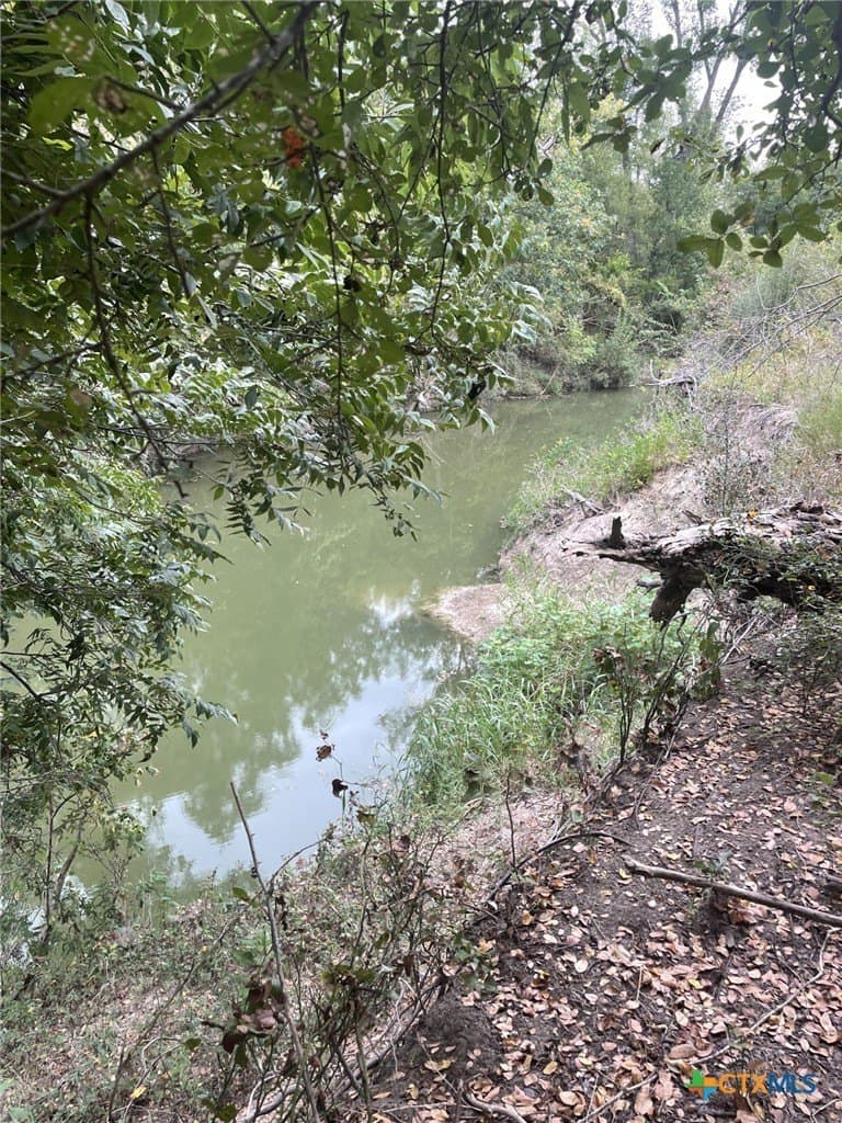 233.08 acres in Bell County - photo 9