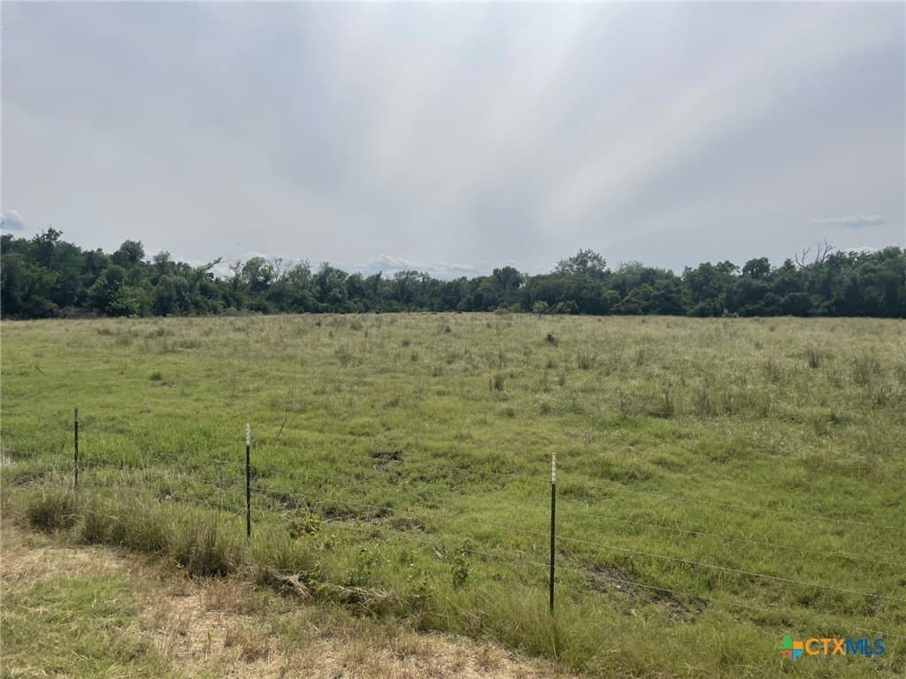 233.08 acres in Bell County gallery image 4
